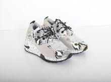 Load image into Gallery viewer, SANTA BARBARA SPORTS